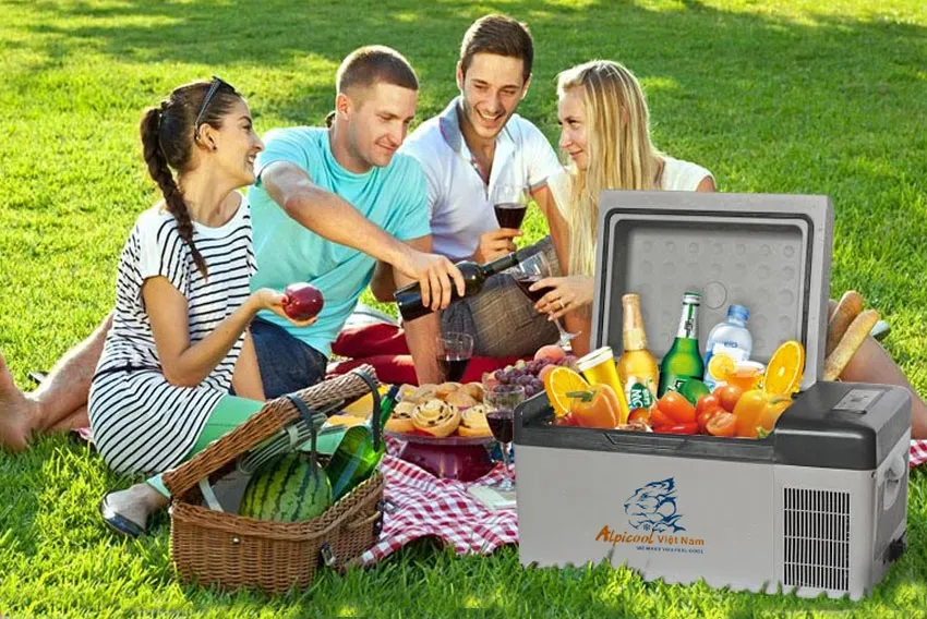 Tủ lạnh ô tô Alpicool Việt Nam C15